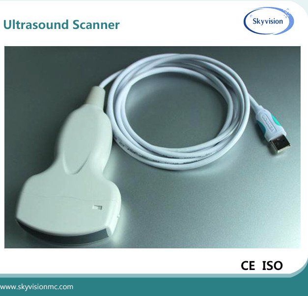 Wholesale hot sale digital usb ultrasound probe for laptop from china suppliers