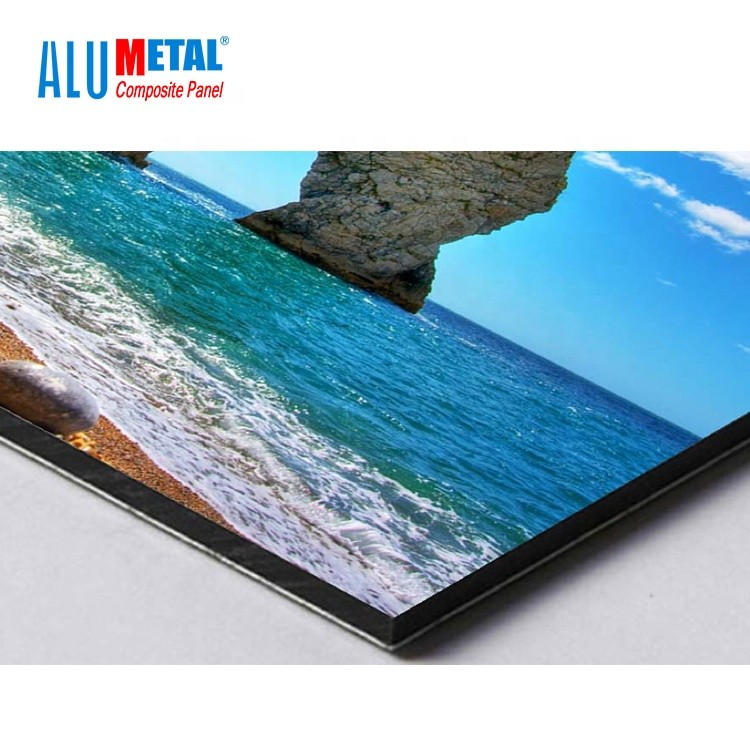 Buy cheap 1250mm 8mm PE Aluminum Composite Panel Aluminium Board Panel Mirror Surface from wholesalers