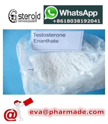 Testosterone enanthate high dosage