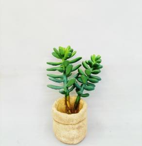 Wholesale OEM Green Artificial Succulent Plant Lovely Office Desk Decoration from china suppliers