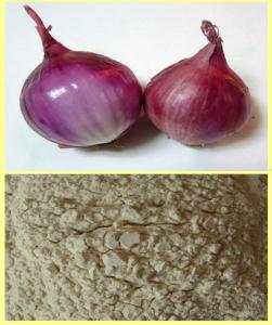 Wholesale DRIED RED ONION POWDER from china suppliers