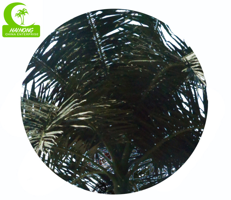 Wholesale Royal 15m Artificial Coconut Palm Trees For Outdoor And Indoor from china suppliers