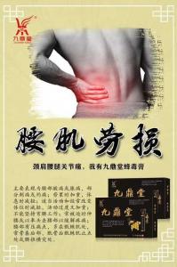 Wholesale The plaster of queen bee- medicine plaster Choose 22 kinds of precious Chinese medicinal materials from china suppliers