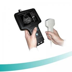 Wholesale Handle Ultrasound Scanner 5.6 inch TFT screen Veterinary ultrasound scanner from china suppliers
