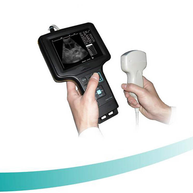 Buy cheap Handle Ultrasound Scanner 5.6 inch TFT screen Veterinary ultrasound scanner from wholesalers
