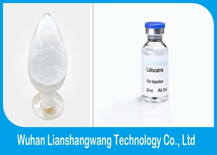 Wholesale CAS 137-58-6 Local Anesthetic Drugs Lidocaine Hydrochloride For Minor Surgery from china suppliers