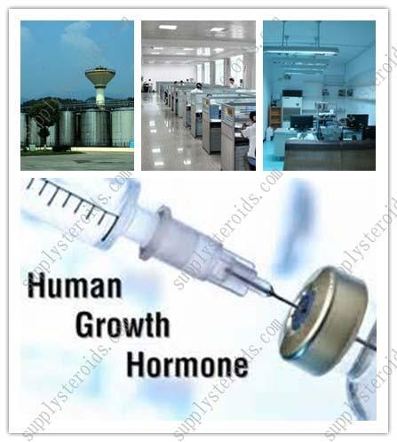 Buy online steroids human growth hormone hgh