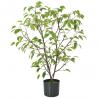 Buy cheap Frabric Leaves Artificial Banyan Tree Complex Branch Interior Decoration from wholesalers