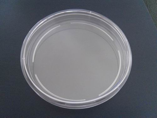 Wholesale Disposable Plastic Culture Dish Petri Dish 90X15mm one room from china suppliers