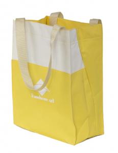 Wholesale Simple shopping bags with handles for woman-HAS14066 from china suppliers