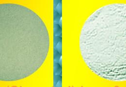 Wholesale 200BI Bacillus Licheniformis Powder Feed Grade Probiotics for Livestock / Poultry SEM-BL200BI from china suppliers