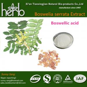 Wholesale Boswellia extract from china suppliers