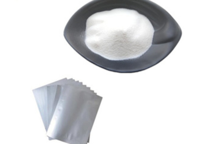 Wholesale Nutritional Ingredient Magnesium Pyruvate Raw Supplement Powders CAS 81686 75 1 from china suppliers