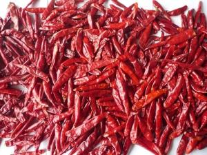 Wholesale TIANYING HOT CHILLI from china suppliers