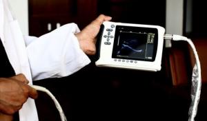 Wholesale Medical Ultrasound Equipment Digital Palm Ultrasound Scanner Veterinary Ultrasonic Device from china suppliers