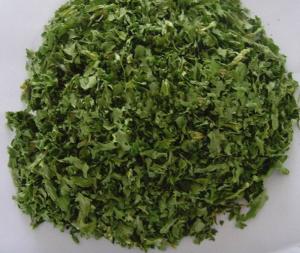 Wholesale DRIED PARSLEY LEAVES 10X10MM from china suppliers