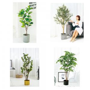 Wholesale Home Decoration Aesthetic Easy To Care Artificial Ficus Tree 1.6m from china suppliers