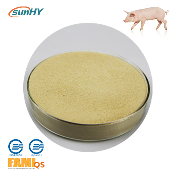 Wholesale SunLipase P Feed Grade Lipase Enzyme Powder Optimal PH8.0 from china suppliers