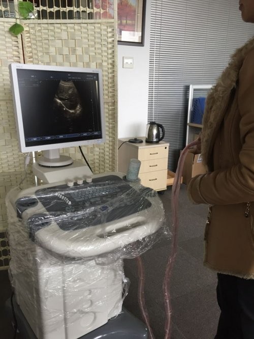 Wholesale Multi - frequency Diagnostic Ultrasound Device Trolley Digital Ultrasound Scanner BIO 3000 from china suppliers