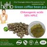 Buy cheap Green coffee bean extract from wholesalers