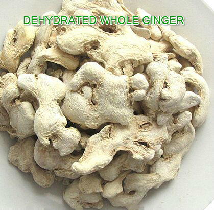 Wholesale Dehydrated whole ginger ,pure natural orgnic produts from china suppliers