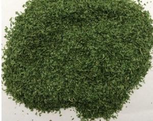 Wholesale DRIED PARSLEY LEAVES 5X5MM from china suppliers