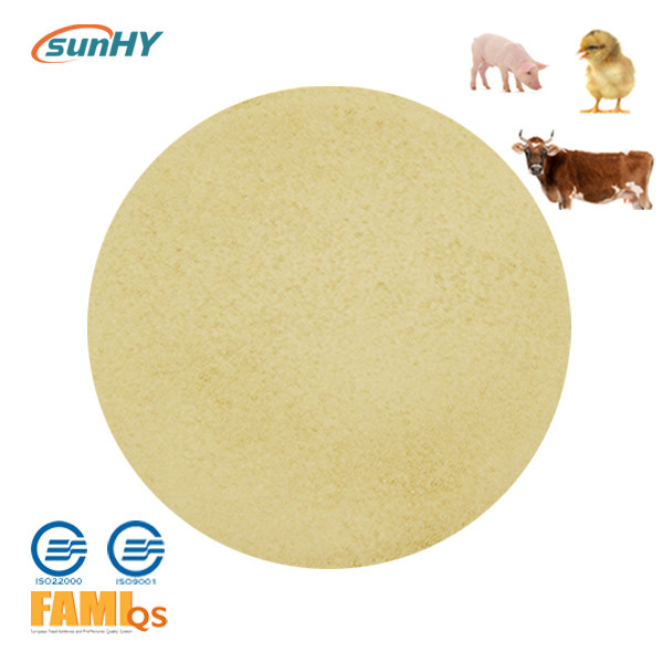 Wholesale SunLipase Plus 10000u/G Pig Enzymes Compound Lipase Enzyme from china suppliers