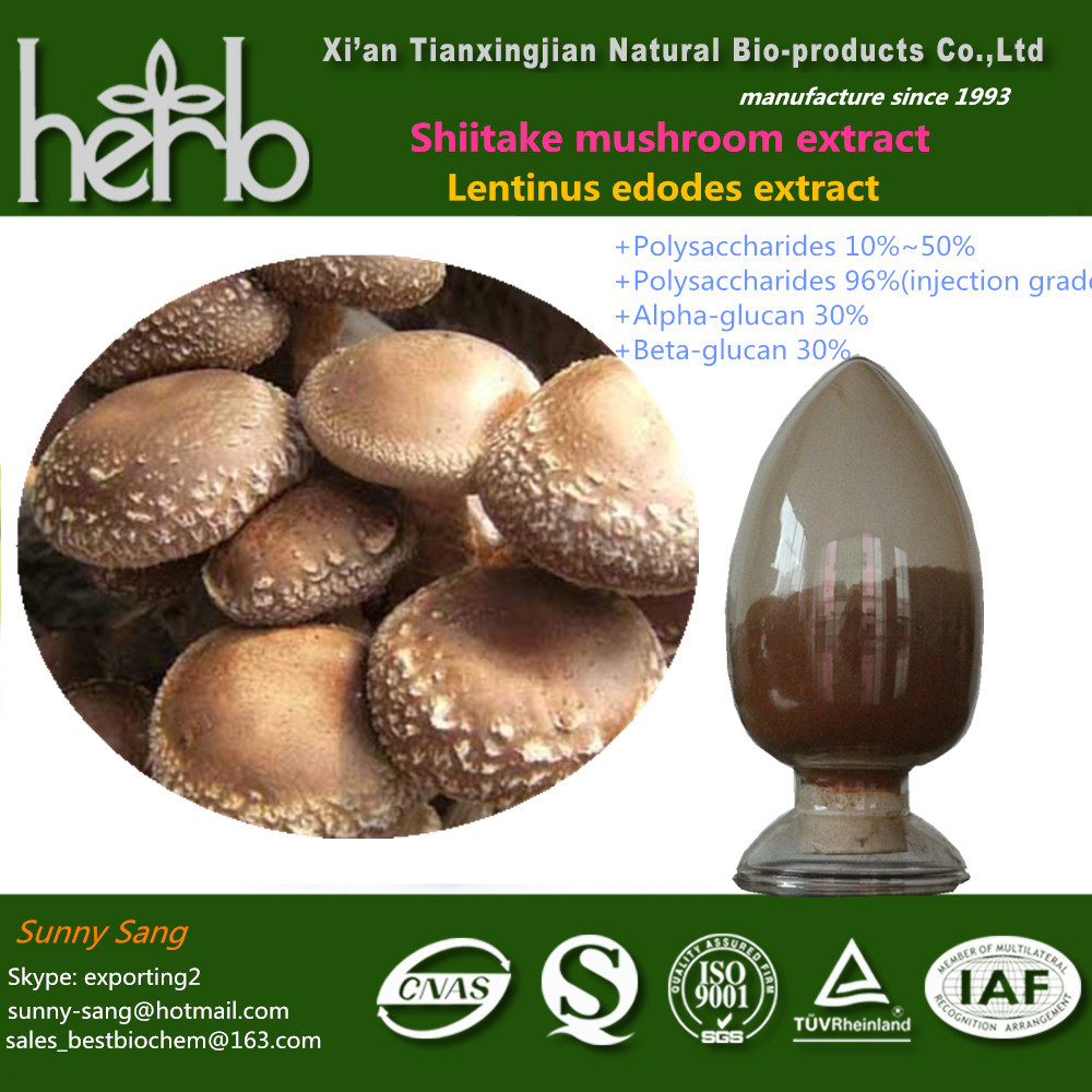 Wholesale Shiitake mushroom extract from china suppliers