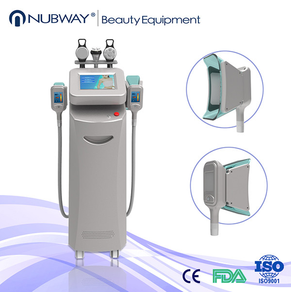 Wholesale 10.4 inch touch color screen 5 handles cryolipolysis liposuction machine on sale from china suppliers