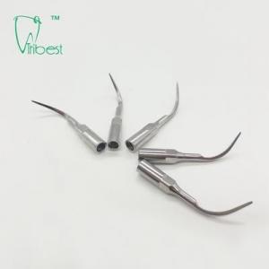 Wholesale P1 Woodpecker Ultrasonic Tips Dental Hygiene Stainless Steel from china suppliers