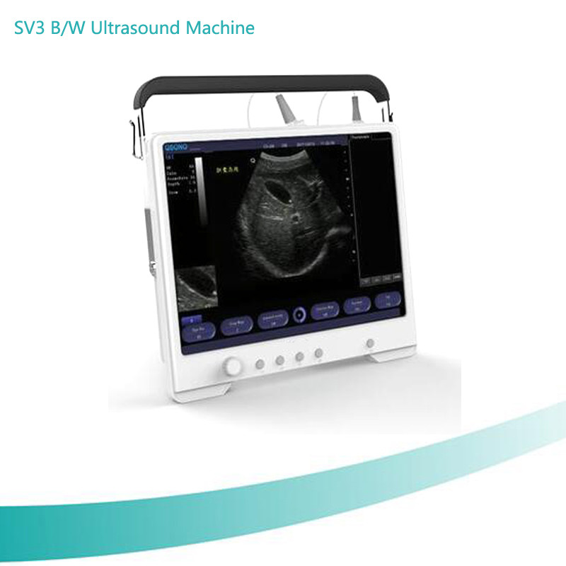 Wholesale 15”LCD with high resolution Two USB ports B/W ultrasound scanner for human or vet from china suppliers