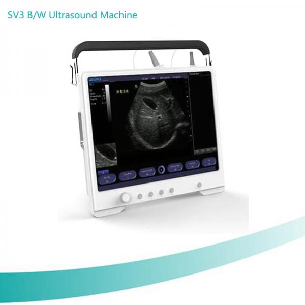 15”LCD with high resolution Two USB ports B/W ultrasound scanner for human or vet