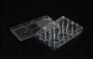 Wholesale Laboratory Plastic Culture Plate Petri Plate Square Shape from china suppliers