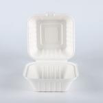 5" x 5" Hamburger food packaging disposable hinged container