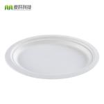 Wholesale a biodegradable sugarcane birthday cake plate western plate food