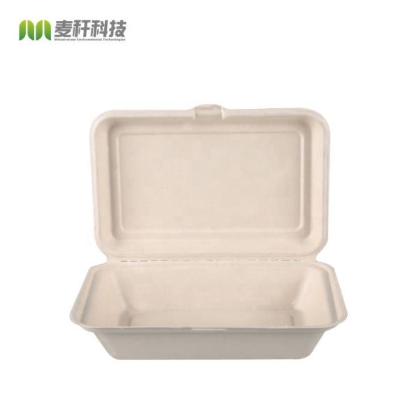 9 X 6" Natural Fiber Clamshell Take Out Boxes , Bagasse Sugarcane Pulp Molding