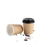 9oz To Go Coffee Cups With Lids , Disposable Insulated Paper Cups