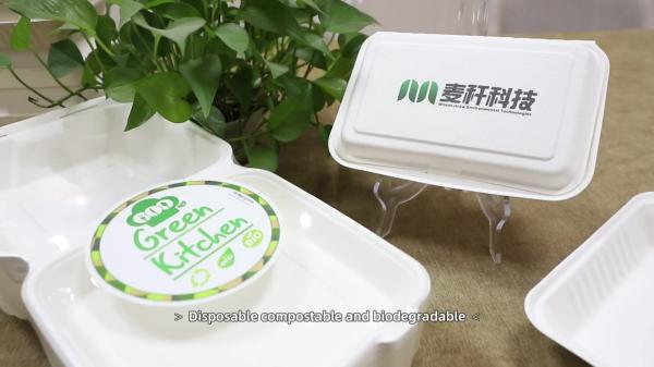 Sugarcane Pulp Dinnerware Sets 100% Biodegradable Disposable Food Packaging