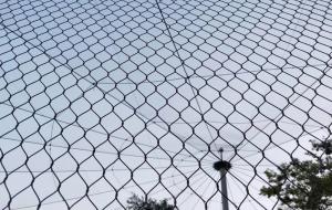 Wholesale Anti Corrosive Stainless Steel Cable Mesh Ss316 Stel Wire Zoo Mesh Flexible X Tend Mesh from china suppliers