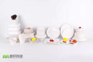 Wholesale 8 inches Biodegradable sugarcane bagasse 3 compartment food container box clamshell from china suppliers