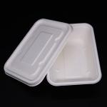 Sugarcane Bagasse Biodegradable Disposable Box , White Takeaway Food Tray With