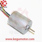 BL2430 BL2430I B2430M 12v 24v 24mm inner rotor brushless dc motor