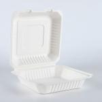 9" x 9" Hamburger food packaging disposable hinged container