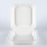8 inches disposable Sugarcane Bagasse fiber paper clamshell food packaging box