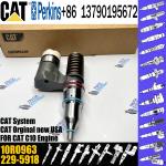diesel fuel engine injector 10RO963 229-5918 212-3463 212-3464 for CAT c10