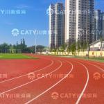 Outdoor Anti-UV Jogging Track Material EPDM Granule & PU Binderfor School