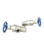 Industrial Cryogenic Globe Valve 3 Way Ss304 Medium Pressure Customize Logo