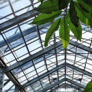 Wholesale Glass Greenhouse for Hydroponic Vegetable Cultivation Package Gross Weight 80.000kg from china suppliers