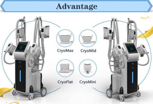 Newest cryolipolysis 4 handles beauty machines cool shape fat freezing lipo
