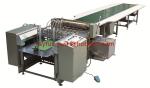 Semi-auto Flute Laminator, Single Faced Corrugated Sheet + Surface Paper